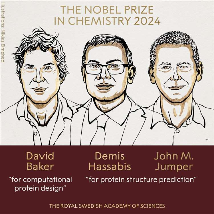 Nobel Prize in Chemistry 2024 winners David Baker, Demis Hassabis and John Jumper. Illustration: Niklas Elmehed / Nobel Prize Outreach